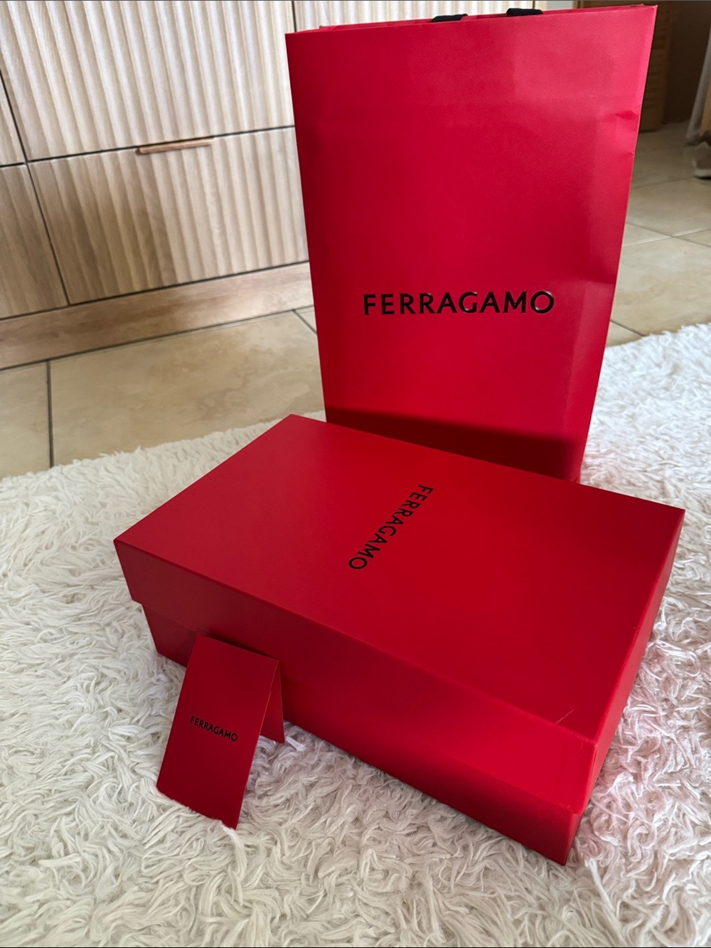 Salvatore Ferragamo Men shoes box with a bag